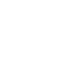 X Icon